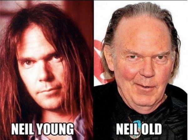 celeb pun neil young neil old - Neil Young Neilold
