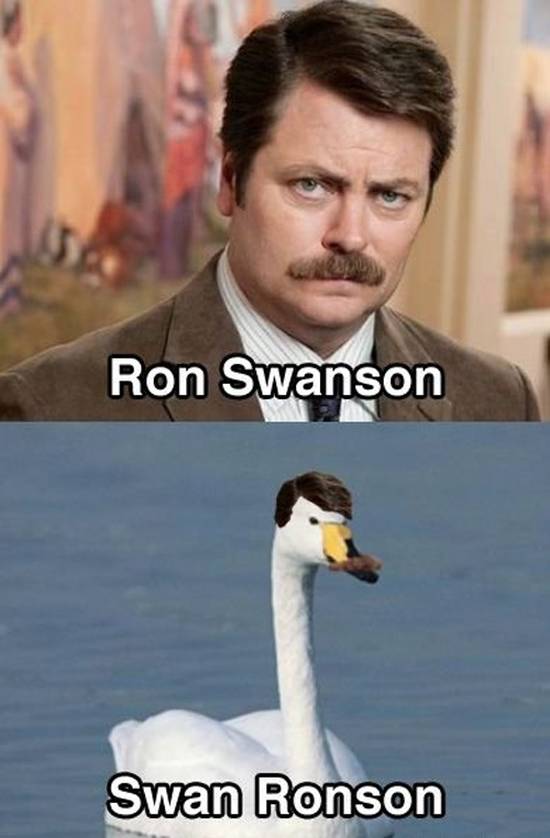 celeb pun bandama caldera - Ron Swanson Swan Ronson