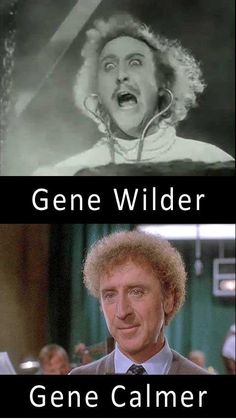 celeb pun gene wilder gene calmer - Gene Wilder Gene Calmer