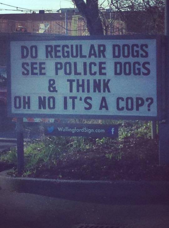 street sign - Do Regular Dogs See Police Dogs & Think Oh No It'S A Cop? Wallingford Sign com f