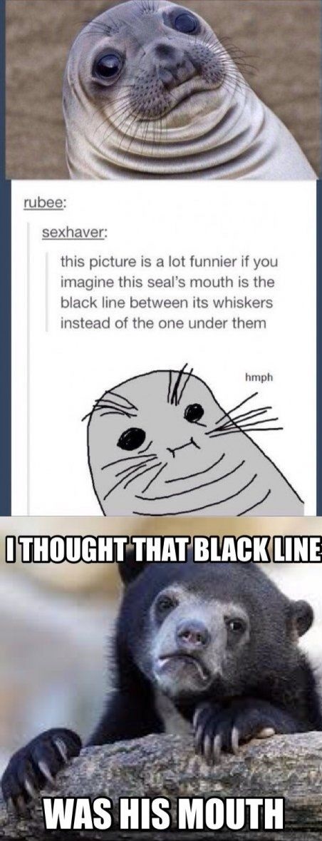 seal meme mouth - rubee sexhaver this picture is a lot funnier if you imagine this seal's mouth is the black line between its whiskers instead of the one under them hmph I Thought That Black Line Was His Mouth
