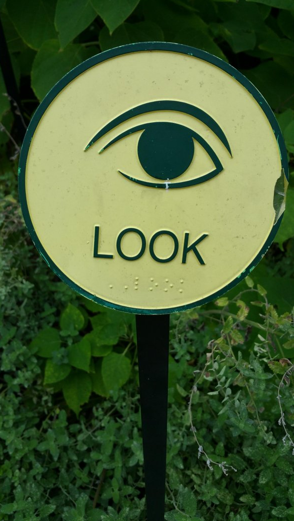 sign - Look