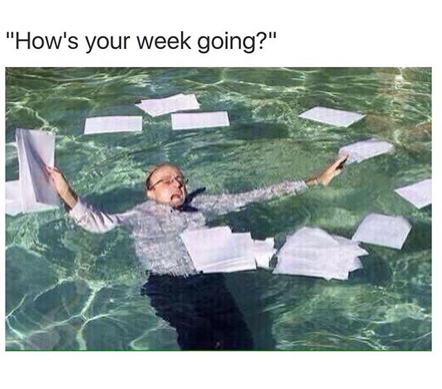 semester end of school memes - "How's your week going?"