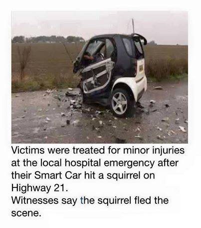 smart car hits a squirrel - Victims were treated for minor injuries at the local hospital emergency after their Smart Car hit a squirrel on Highway 21. Witnesses say the squirrel fled the scene.