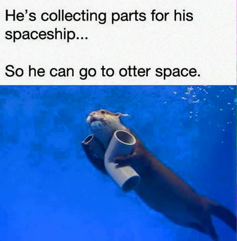 egton medical information systems - He's collecting parts for his spaceship... So he can go to otter space.