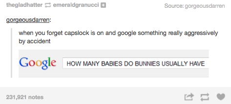 bunnies tumblr posts - thegladhatter emeraldgranucci Source gorgeousdarren gorgeousdarren when you forget capslock is on and google something really aggressively by accident Google How Many Babies Do Bunnies Usually Have 231,921 notes