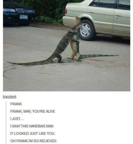funny animal - tranzient Frank Frank, Man, You'Re Alive I Just... I Saw This Handbag Man It Looked Just You. Oh Frank I'M So Relieved.