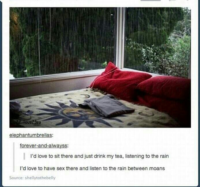 romantic rainy night - laoreea elephantumbrellas foreverandalwayss I'd love to sit there and just drink my tea, listening to the rain I'd love to have sex there and listen to the rain between moans Source shellytothebelly