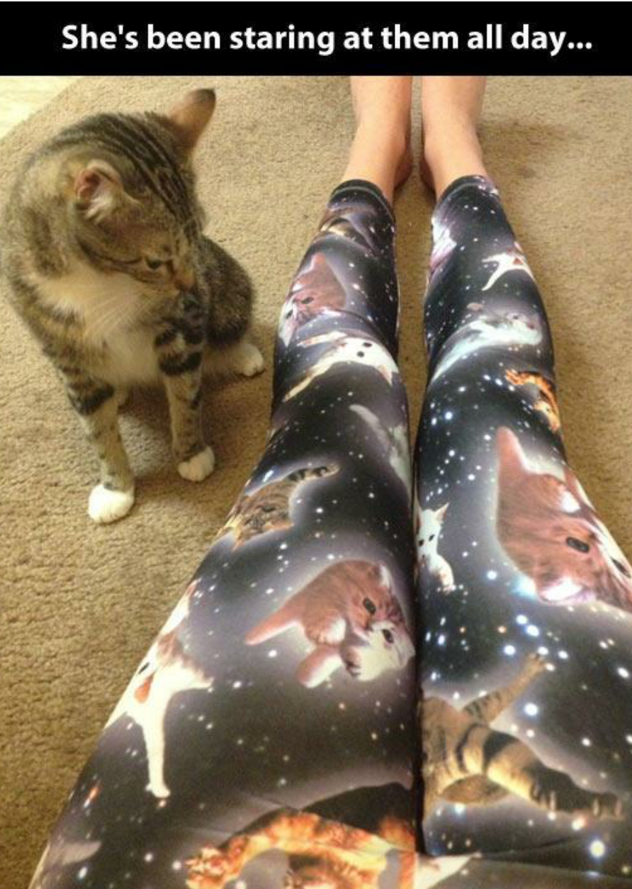space cats pants - She's been staring at them all day...
