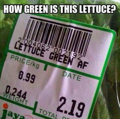 green is this lettuce meme - How Green Is This Lettuce? Lettuce Green Af Pricekg 8.99 Date 0244 Jaya Total