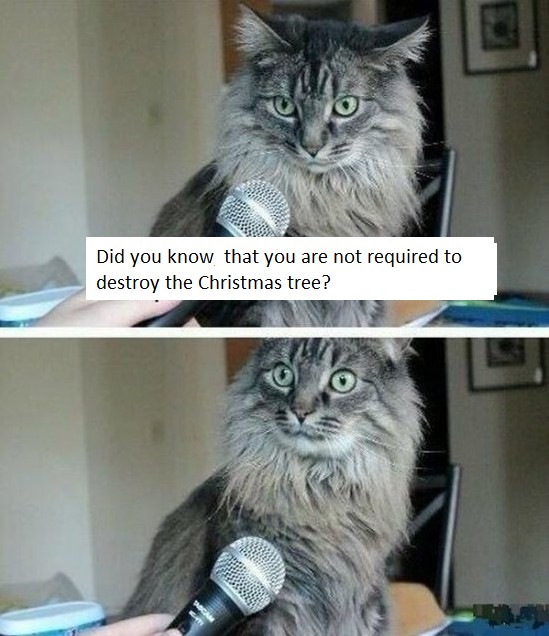do you know that you are a cat - Did you know that you are not required to destroy the Christmas tree?