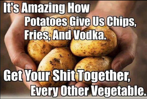 photo caption - It's Amazing How Potatoes Give Us Chips, Fries, And Vodka. Get Your Shit Together, Every Other Vegetable.