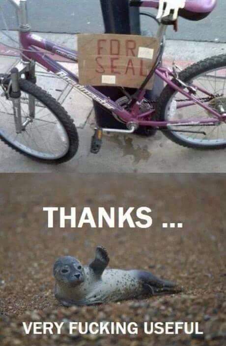 bike for seal - For Seal Thanks. Very Fucking Useful