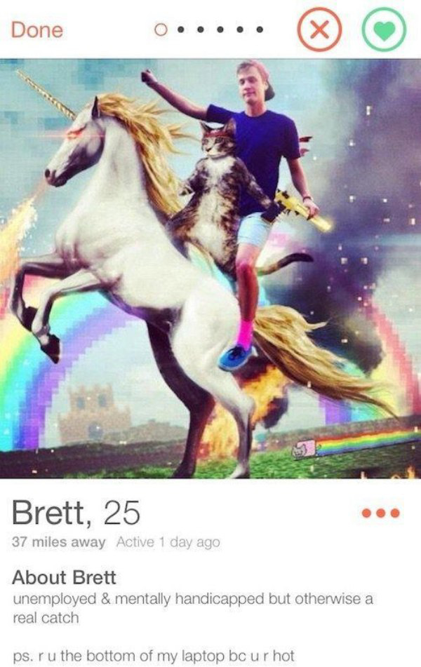 25 of The Best Tinder Profiles of 2015