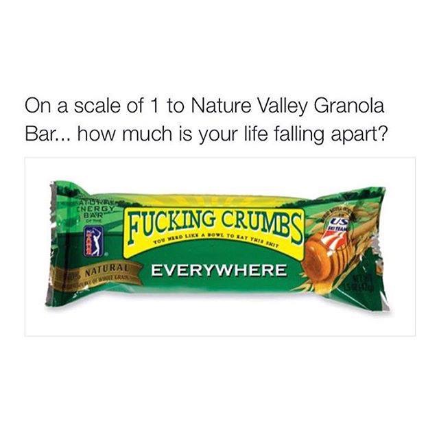 cool nature valley bar meme - On a scale of 1 to Nature Valley Granola Bar... how much is your life falling apart? Fucking Crumbs 4 Link Above To Eat Eat Yn Brit Natural Everywhere Blog
