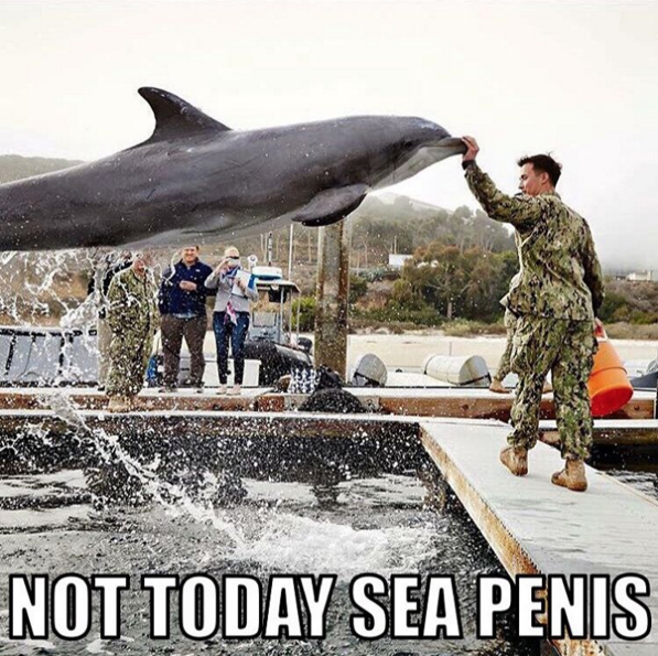 cool perfectly timed - Not Today Sea Penis