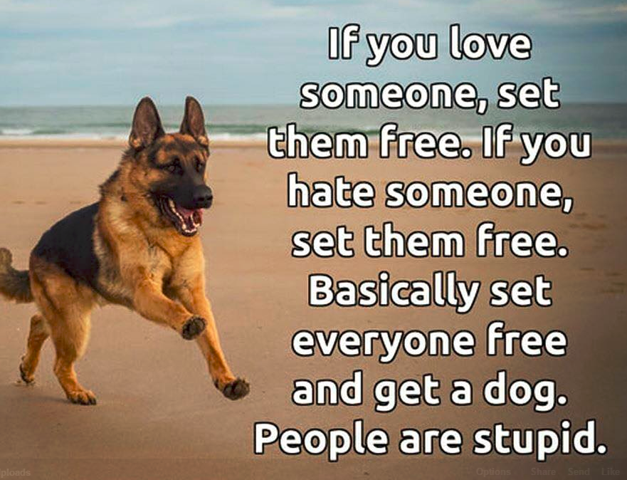 if you love someone set them free if you hate someone set them free - If you love someone, set them free. If you hate someone, set them free. Basically set everyone free and get a dog. People are stupid.