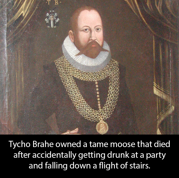 Tycho Brahe owned a tame moose that died after accidentally getting drunk at a party and falling down a flight of stairs.