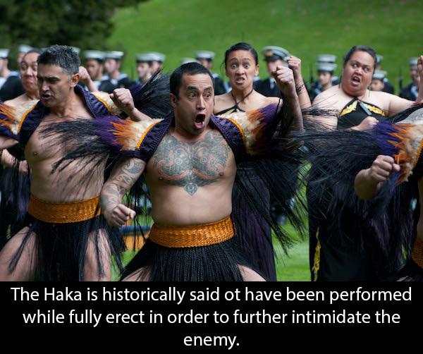 dance haka - The Haka is historically said ot have been performed while fully erect in order to further intimidate the enemy.