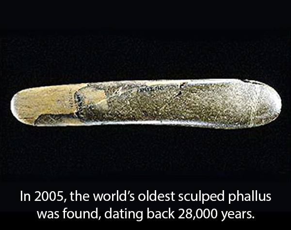 first sex toy - In 2005, the world's oldest sculped phallus was found, dating back 28,000 years.