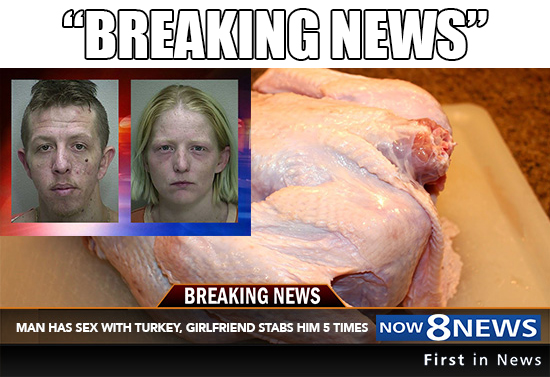 breaking news funny - "Breaking News" Breaking News Man Has Sex With Turkey, Girlfriend Stabs Him 5 Times Now 8 News First in News