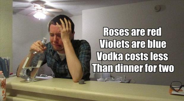 valentines day meme funny - Roses are red Violets are blue Vodka costs less Than dinner for two