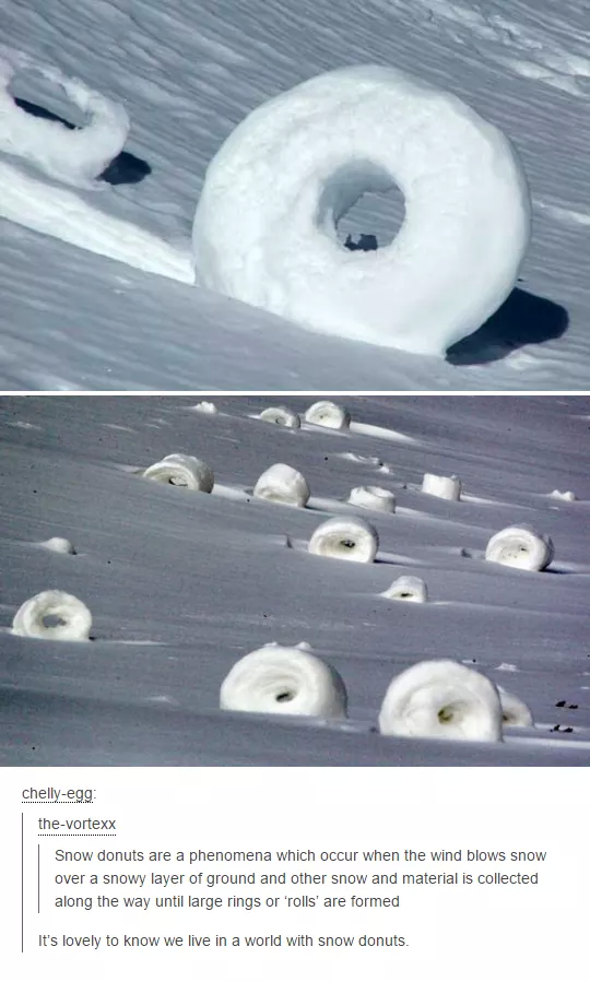 snow donuts - chellyeeg thevortex Snow donuts are a phenomena which occur when the wind blows Snow over a snowy layer of ground and other show and material is collected along the way un large rings or oils are formed It's lovely to know we live in a world
