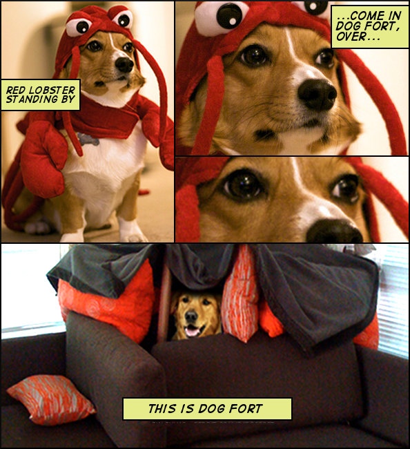 dog fort meme - ...Come In Dog Fort, Over... Red Lobstey Standing By This Is Dog Fort