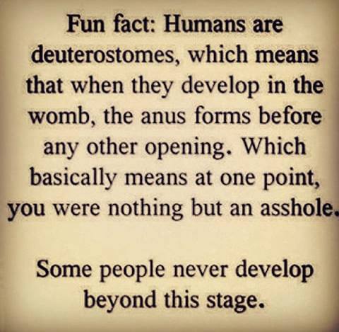 handwriting - Fun fact Humans are deuterostomes, which means that when they develop in the womb, the anus forms before any other opening. Which basically means at one point, you were nothing but an asshole. Some people never develop beyond this stage.
