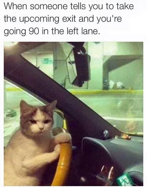 ghetto cat memes - When someone tells you to take the upcoming exit and you're going 90 in the left lane.