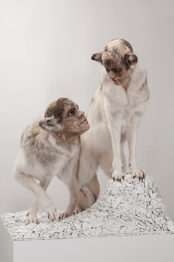 animal taxidermy with human faces