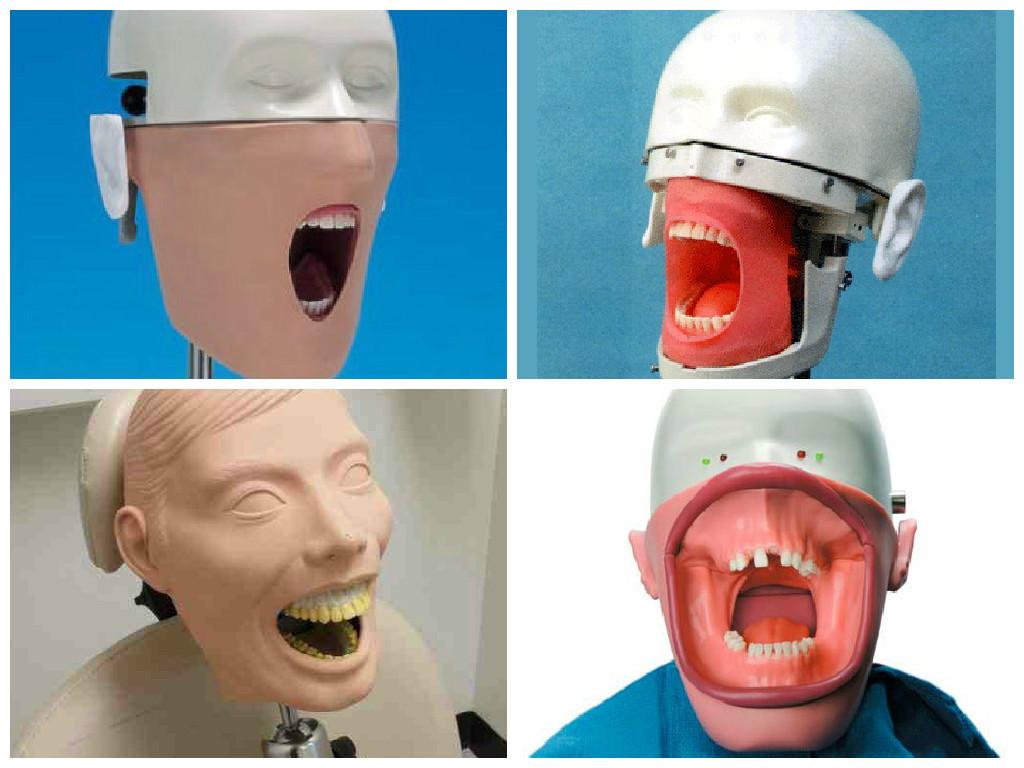 dentist dummy
