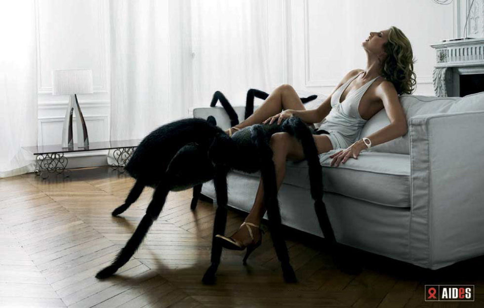 sex spider