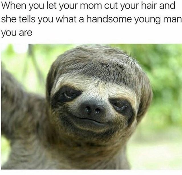 my mom cut my hair - When you let your mom cut your hair and she tells you what a handsome young man you are