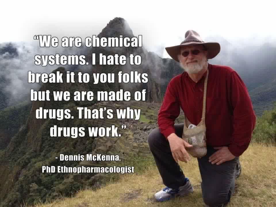 dennis mckenna memes - We are chemical systems. I hate to break it to you folks but we are made of drugs. That's why drugs work. Dennis McKenna, PhD Ethnopharmacologist