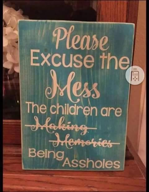 funny signs quotes - Please Excuse the Mess The children are Hooking hlengebrit's BeingAssholes