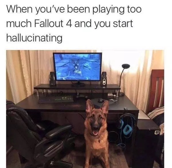 fallout meme - When you've been playing too much Fallout 4 and you start hallucinating