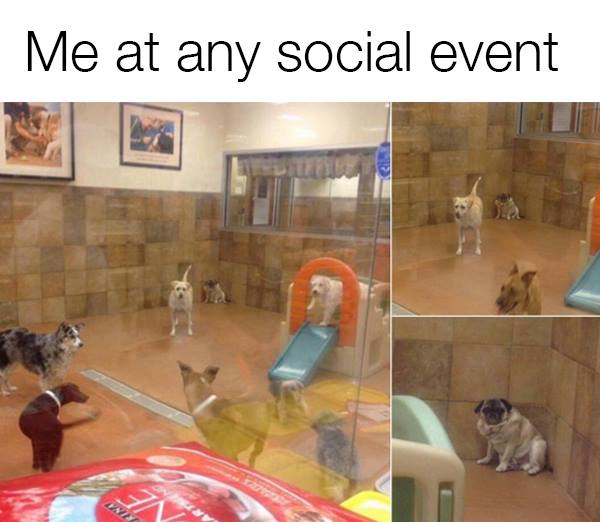 me at any social event - Me at any social event