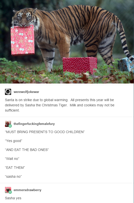 sasha the christmas tiger - werewolljokewar Santa is on strike due to global warming All presents this year will be delivered by Sasha the Christmas Tiger Mik and cookies may not be sufficient thefingerfuckingfemaletury "Must Bring Presents To Good Childr