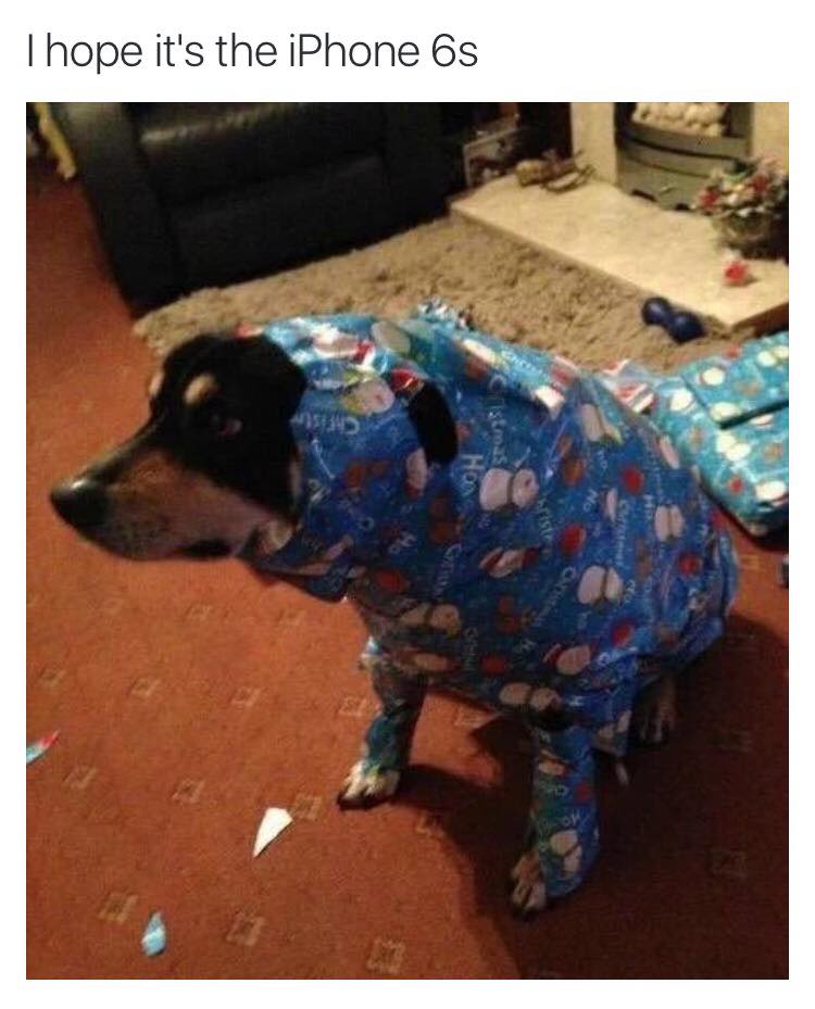 hope it's a ps4 - Thope it's the iPhone 6s sro