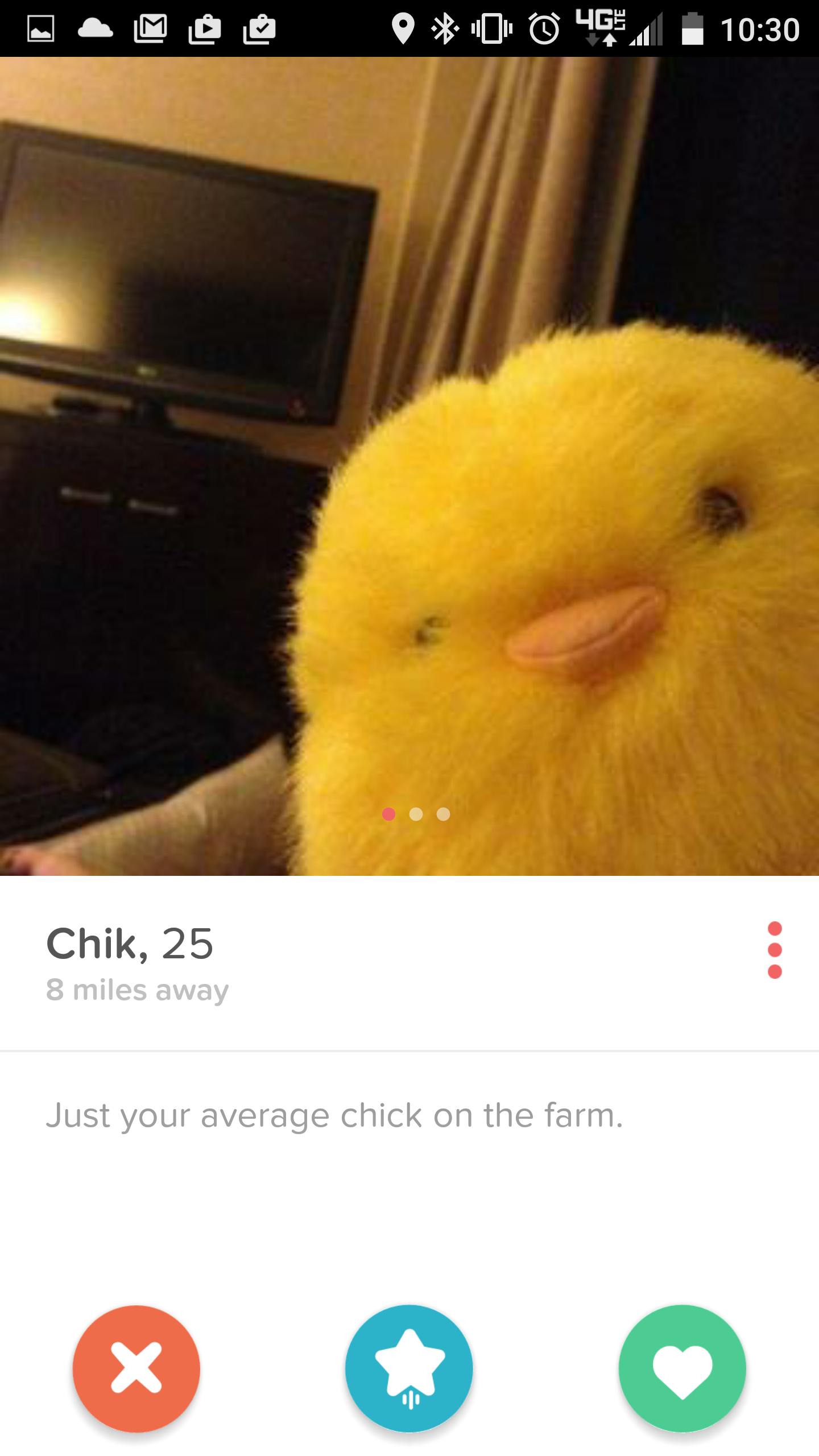 hot tinder girls - 00 46 Chik, 25 8 miles away Just your average chick on the farm.