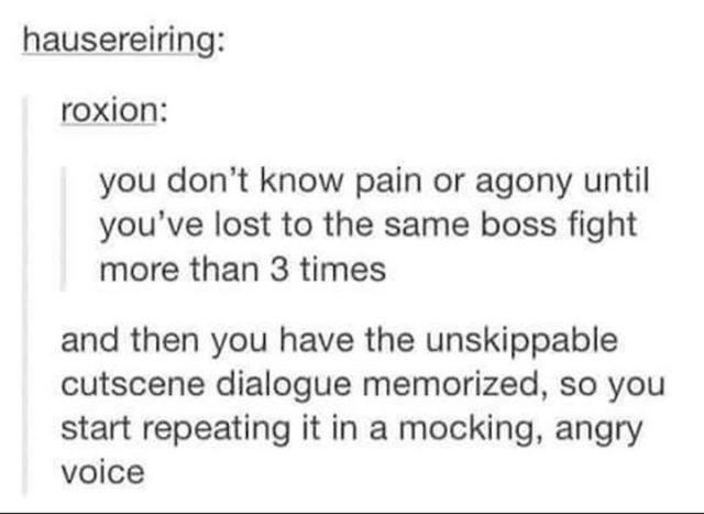 ansem seeker of darkness boss - hausereiring roxion you don't know pain or agony until you've lost to the same boss fight more than 3 times and then you have the unskippable cutscene dialogue memorized, so you start repeating it in a mocking, angry voice