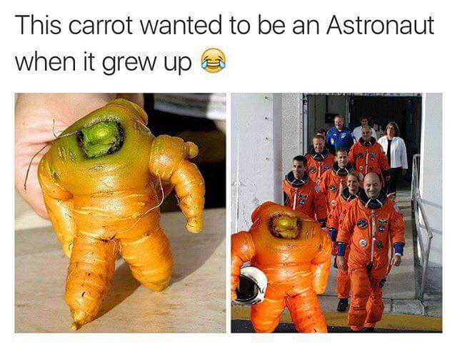 astronaut meme - This carrot wanted to be an Astronaut when it grew up