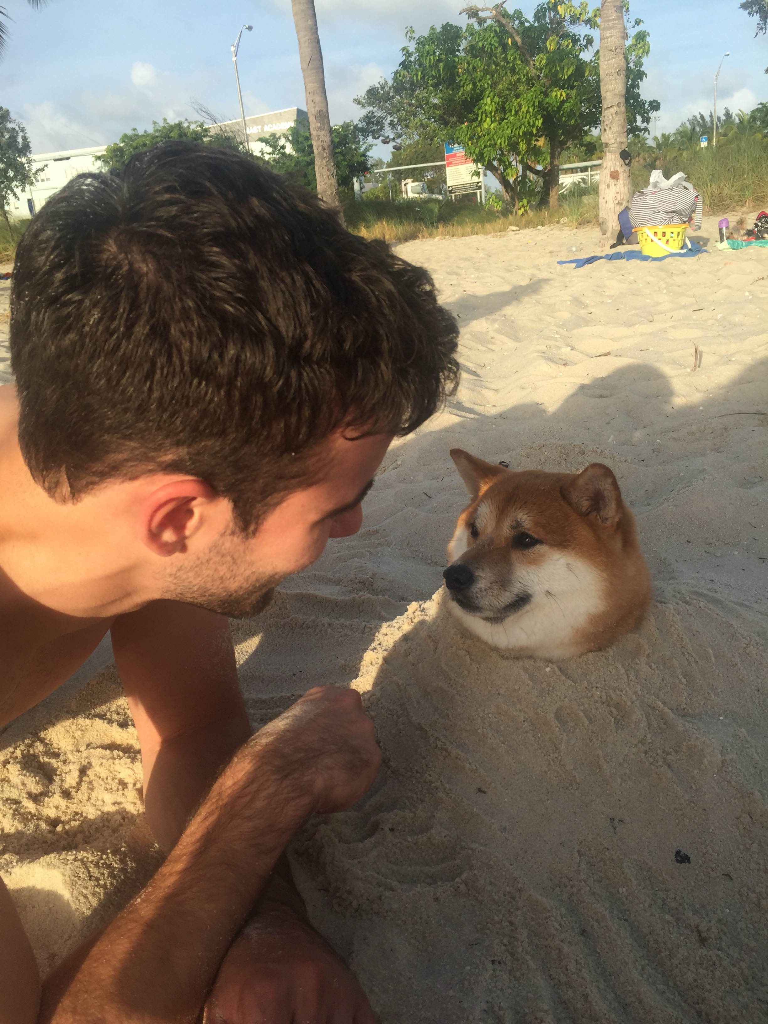 doge in beach