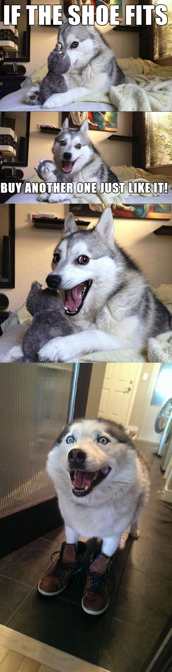 husky jokes - If The Shoe Fits Buy Another One Lust It!