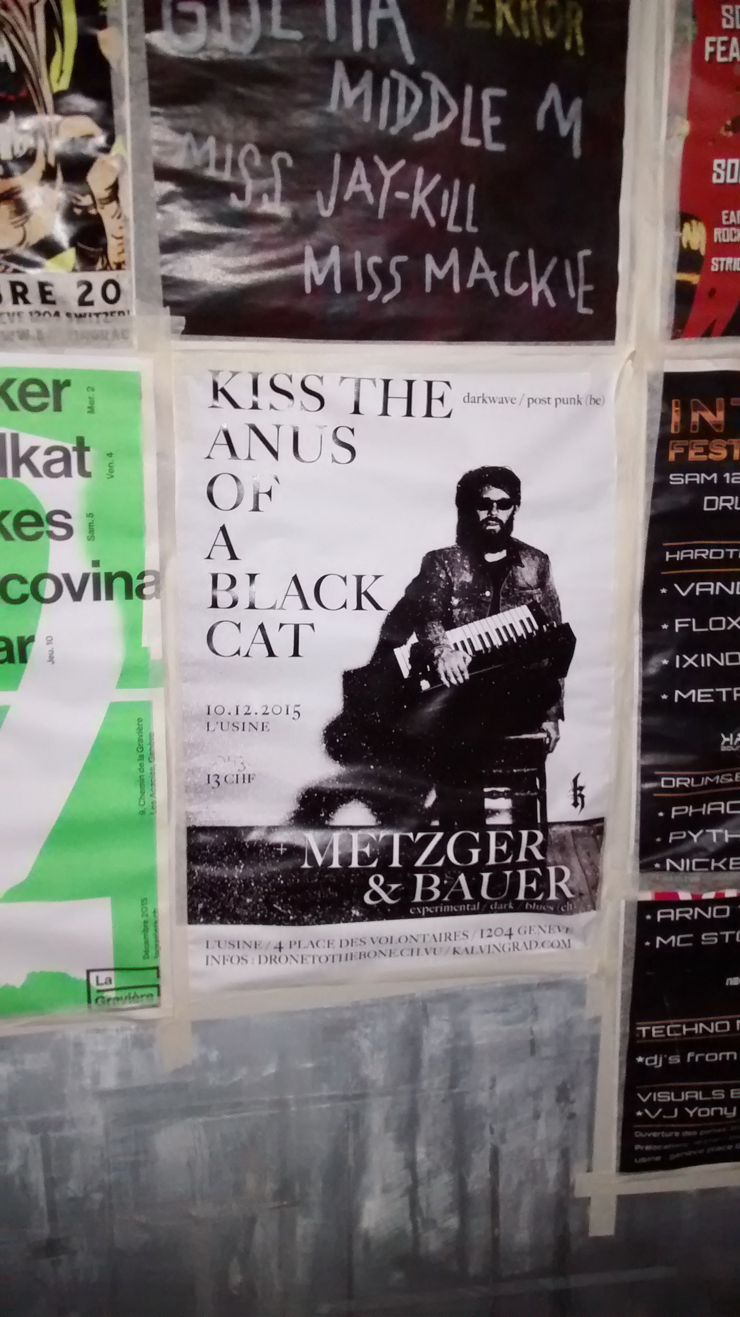 wtf poster - V Unltia Era Una Middlem Use JayKill Miss Mackie Re 20 keri Kiss The Ikat Anus On kes covina Black Cat . Vrni Metzger & Bauer Arnd Mc Gti