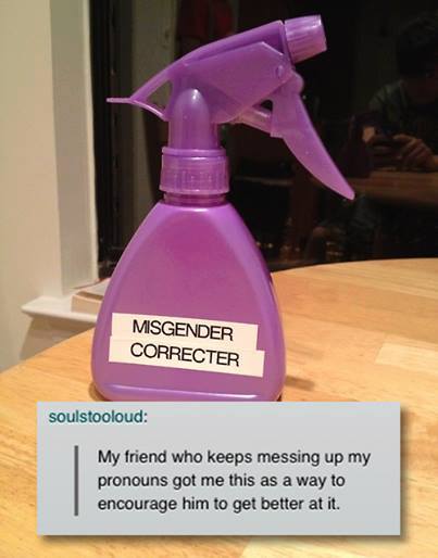 misgender meme - Misgender Correcter soulstooloud My friend who keeps messing up my pronouns got me this as a way to encourage him to get better at it.