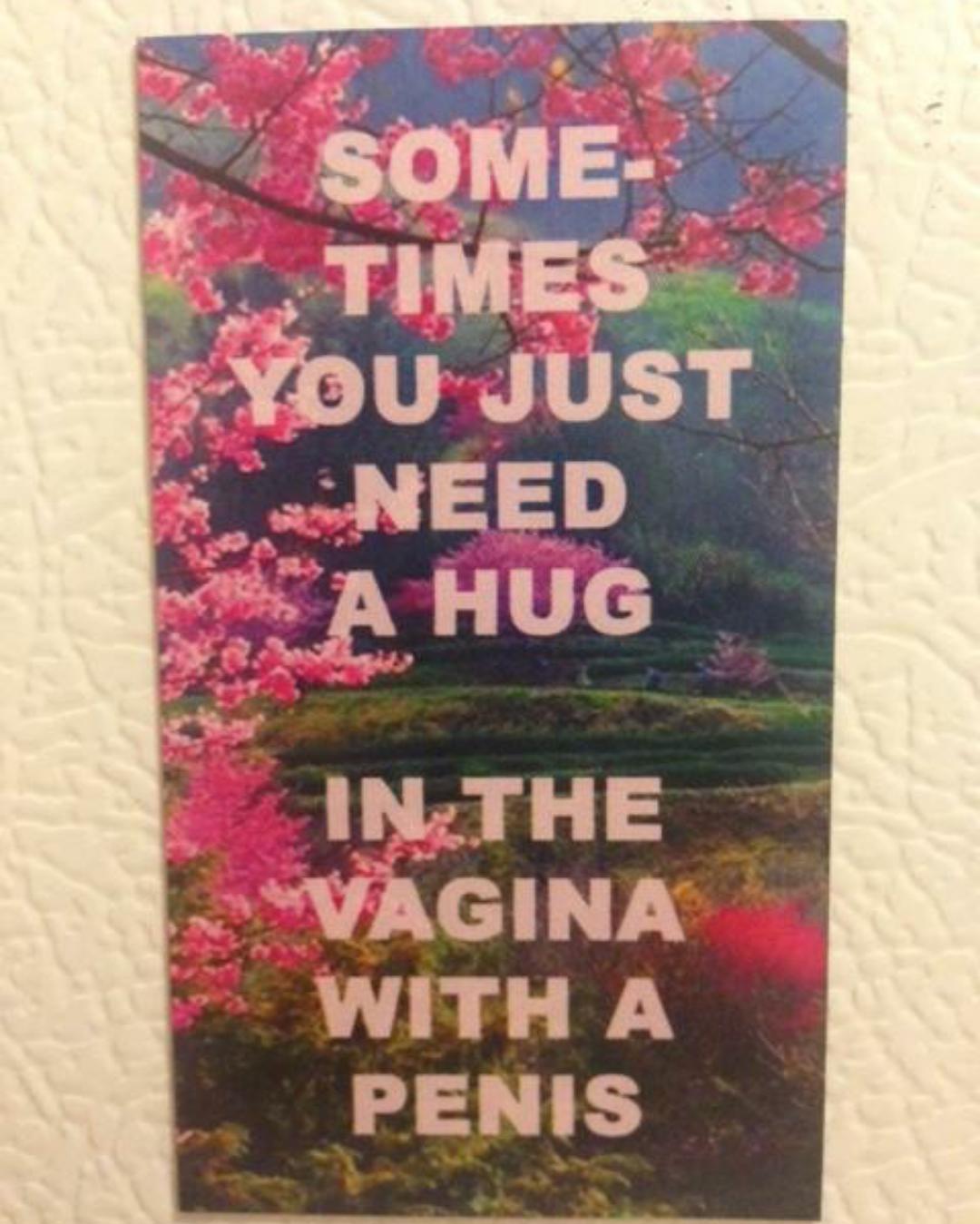 poster - Some Times You Just Need A Hug In The Vagina With A Penis