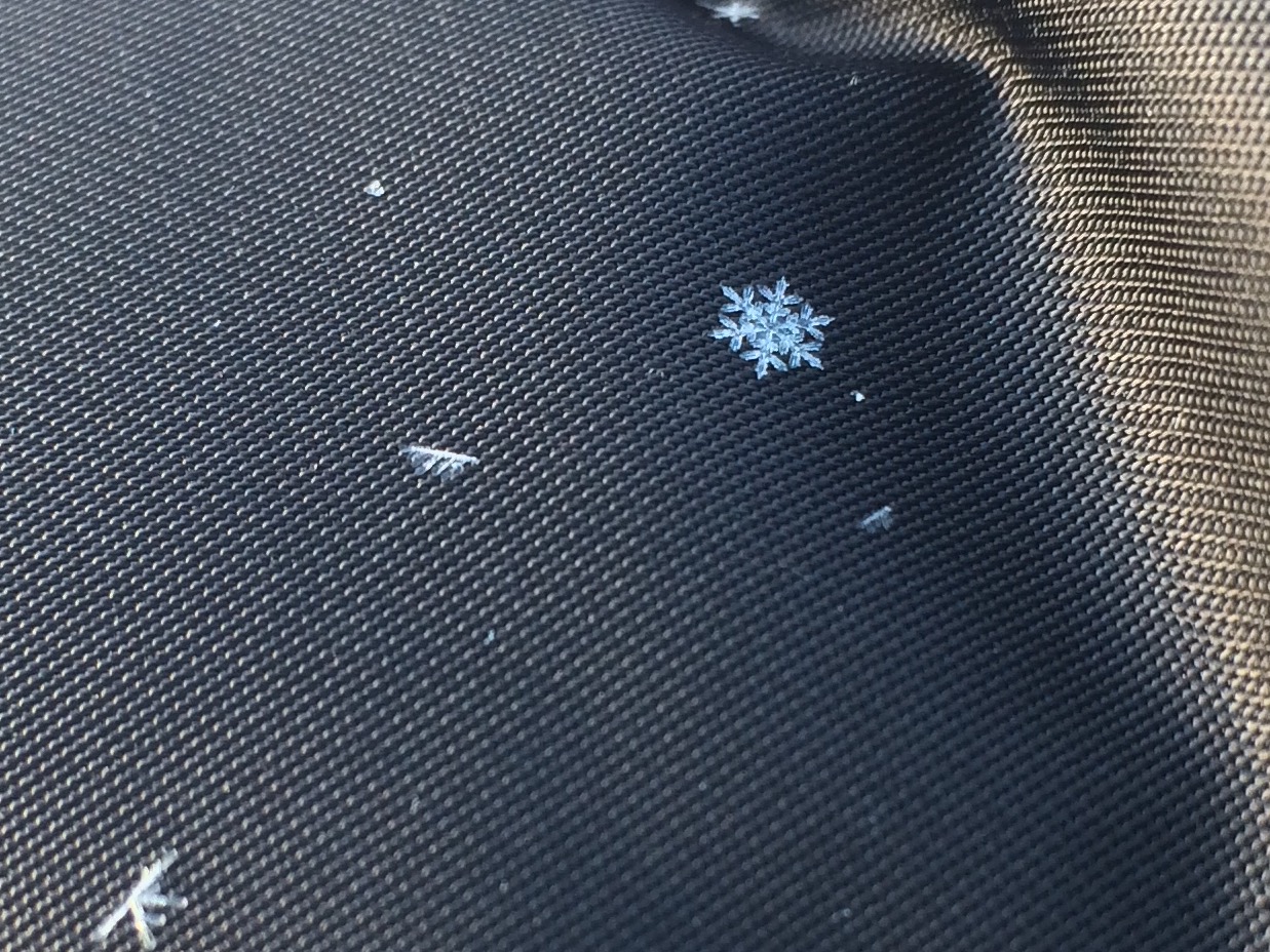 A perfect snowflake.