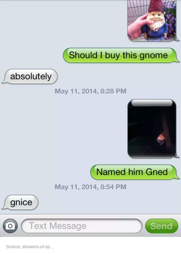 gnome gnice meme - Should I buy this gnome absolutely , Named him Gned , gnice O Text Message Send Source showersofsp..